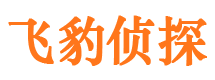 维扬市调查公司